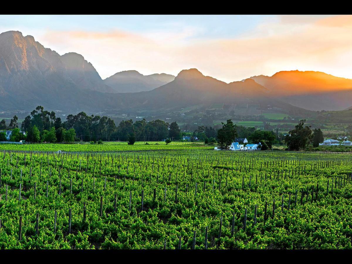 Sorbonne 1 Leilighet Franschhoek Eksteriør bilde